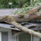 storm damage claims attorney florida